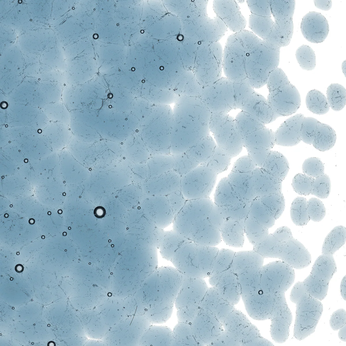 Steel Blue Transparent, Coarse, 1 lb. - Image 2