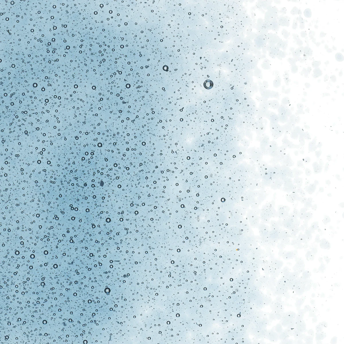 Steel Blue Transparent, Fine, 5 lb. - Image 2