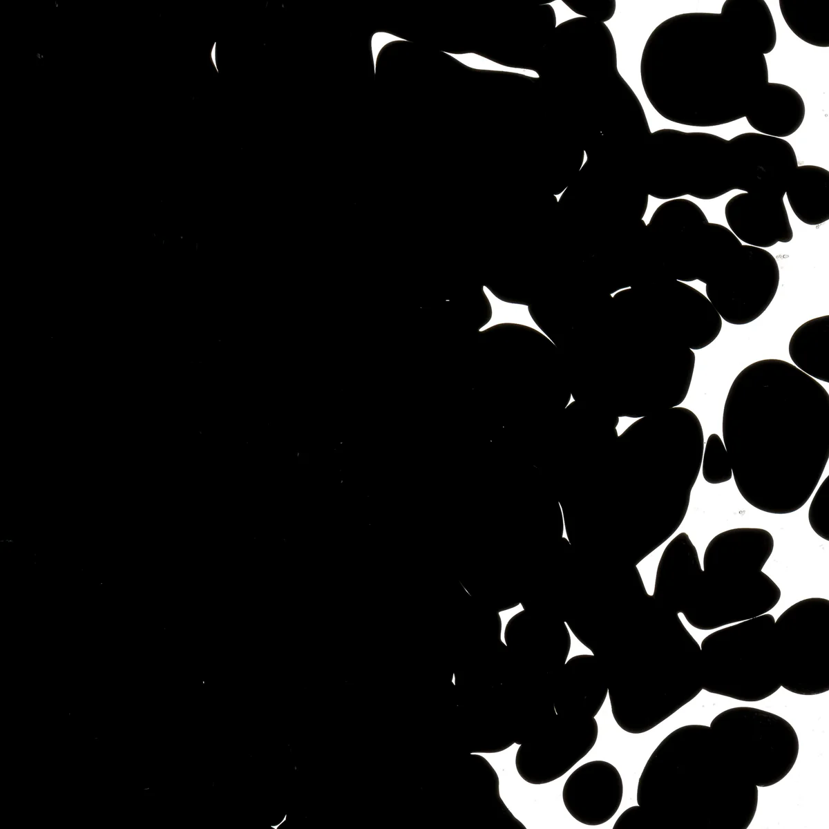 Stiff Black Opalescent, Coarse, 1 lb. - Image 2