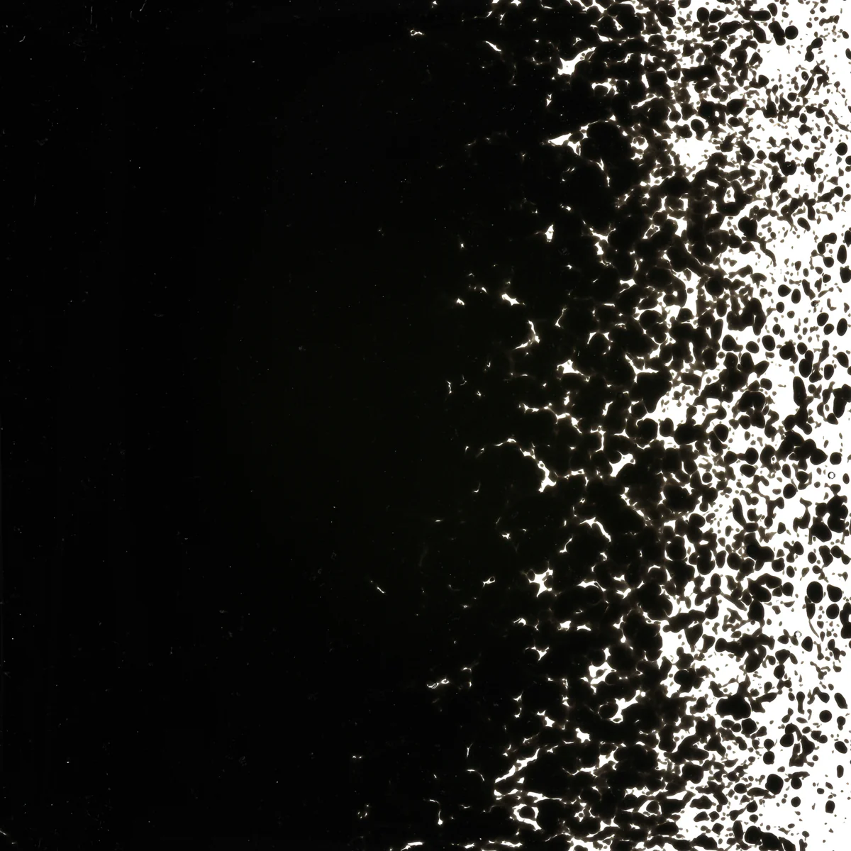 Stiff Black Opalescent, Fine, 1 lb. - Image 2