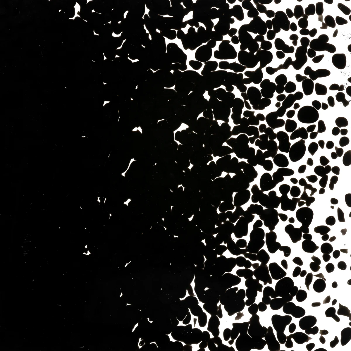 Stiff Black Opalescent, Medium, 1 lb. - Image 2