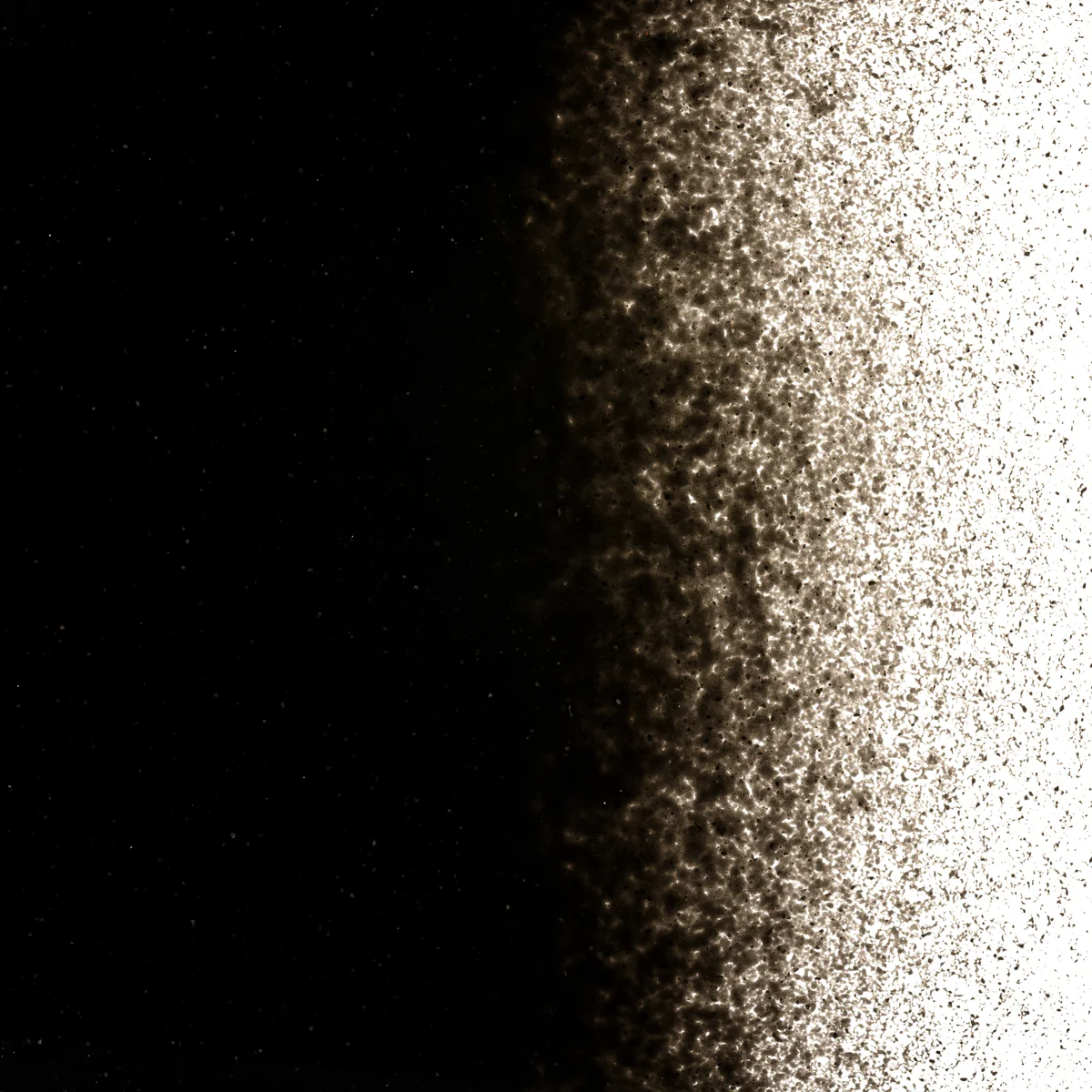 Stiff Black Opalescent, Powder, 1 lb. - Image 2