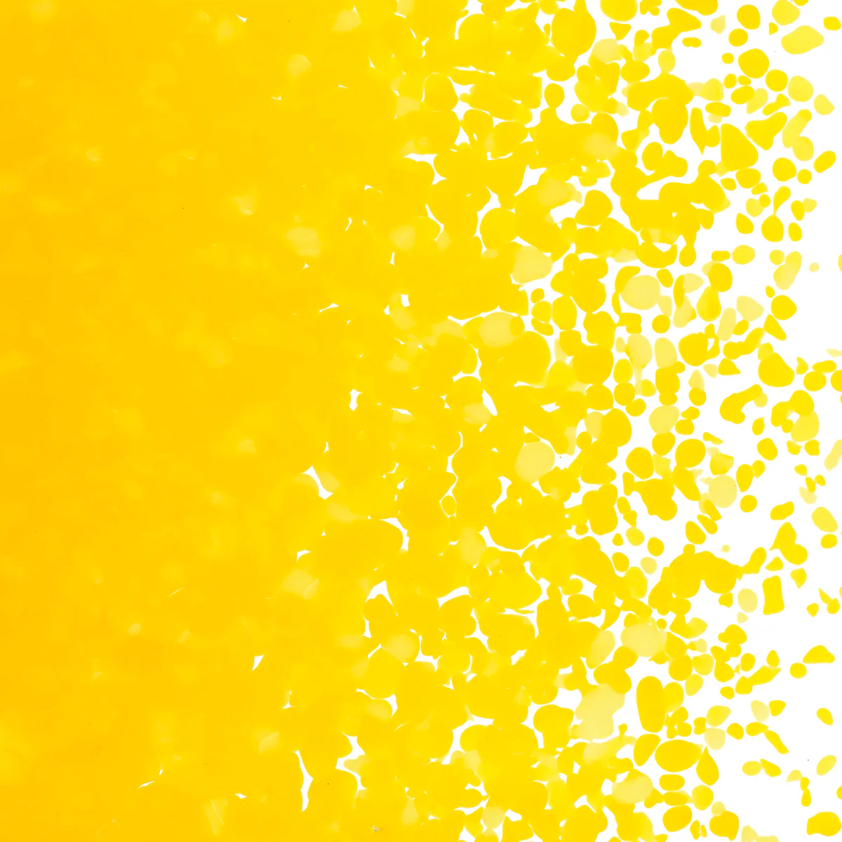 Sunflower Yellow Opalescent, Medium, 1 lb. - Image 2