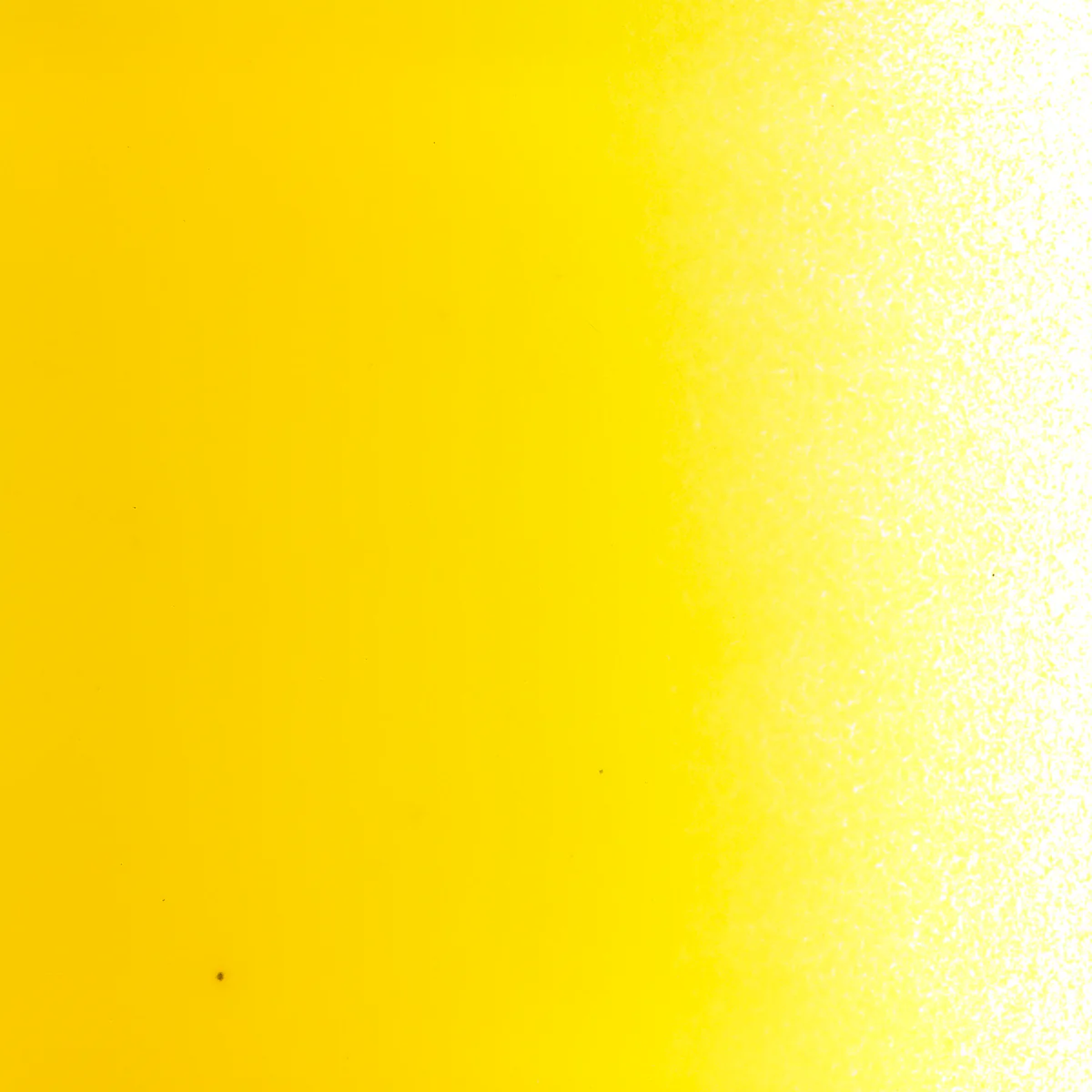 Sunflower Yellow Opalescent, Powder, 5 lb. - Image 2
