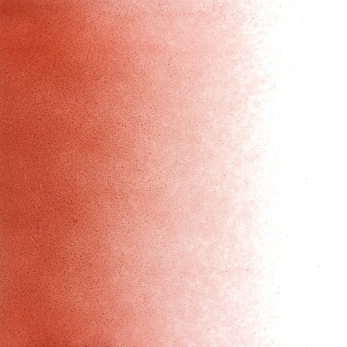 Sunset Coral Transparent, Powder, 1 lb. - Image 2