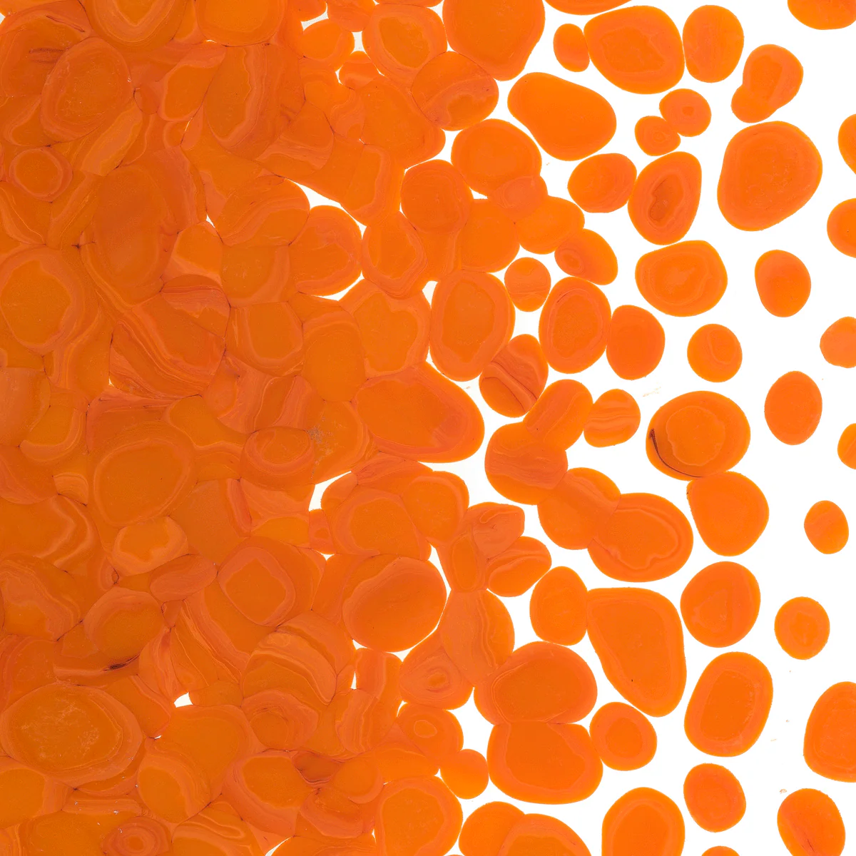 Tangerine Orange Opalescent, Coarse, 1 lb. - Image 2