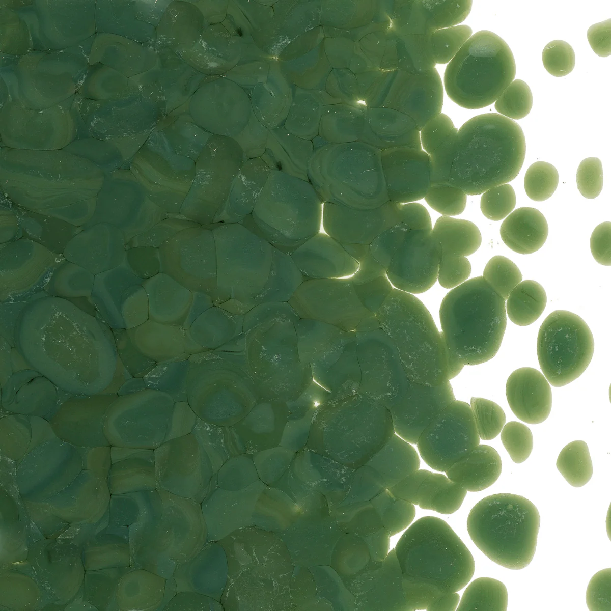 Teal Green Opalescent, Coarse, 1 lb. - Image 2