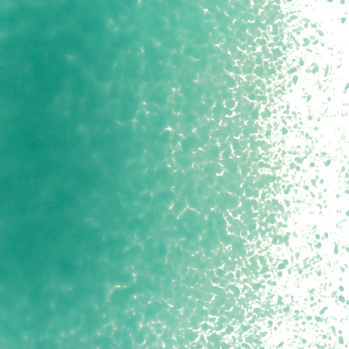 Teal Green Opalescent, Fine, 1 lb. - Image 2
