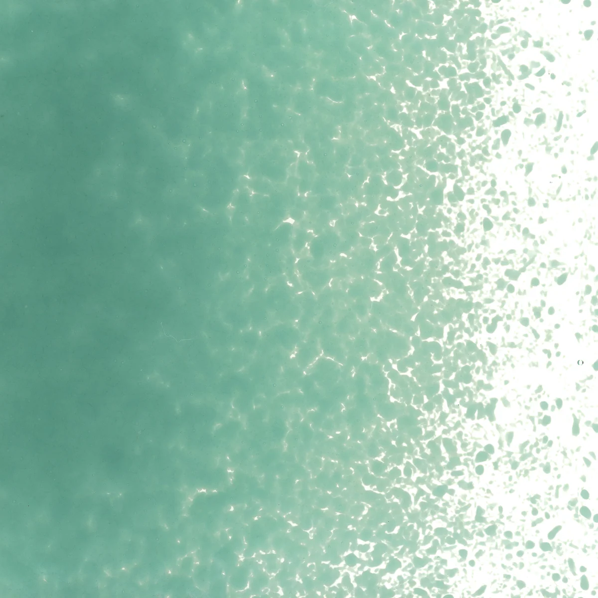 Teal Green Opalescent, Fine, 5 lb. - Image 2