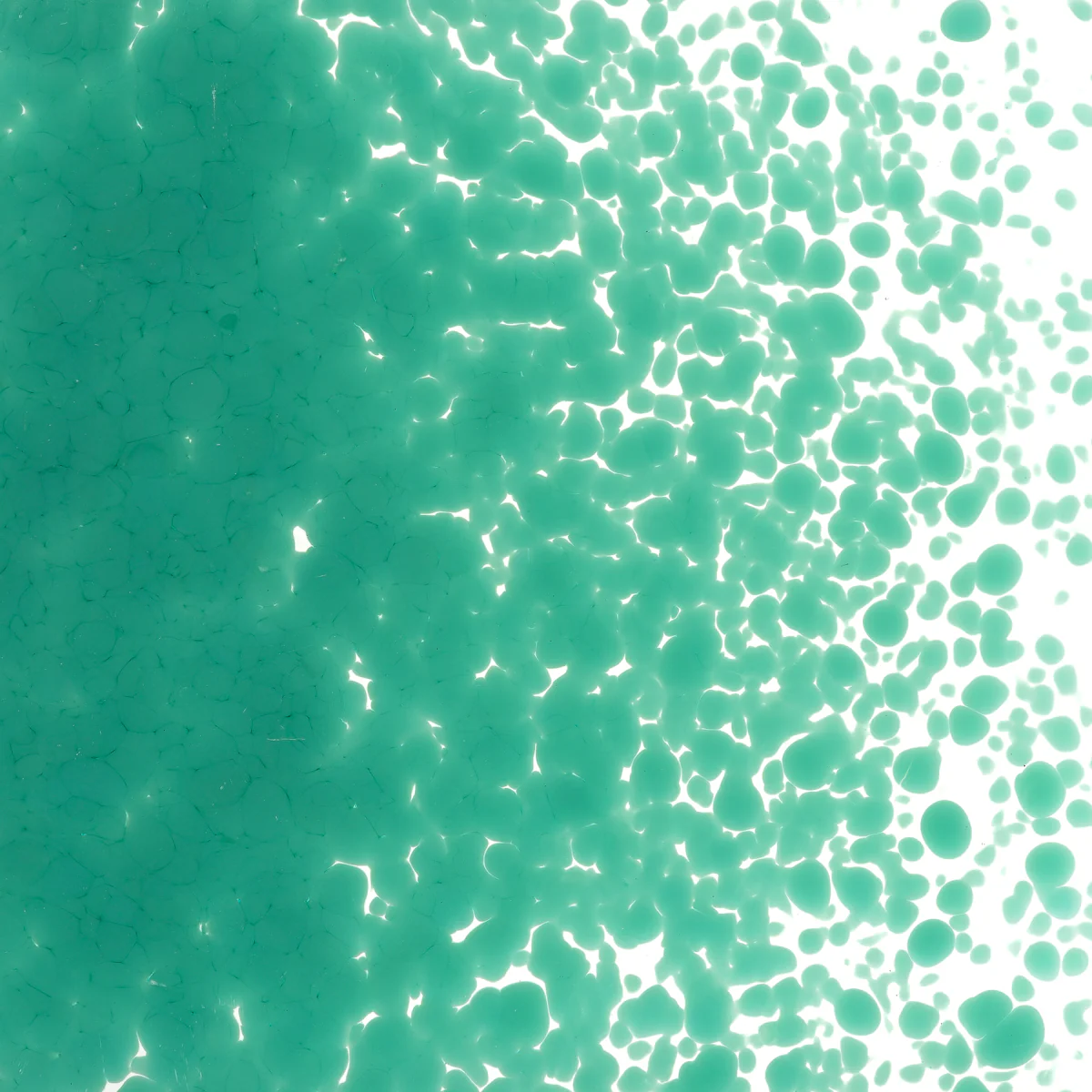 Teal Green Opalescent, Medium, 1 lb. - Image 2
