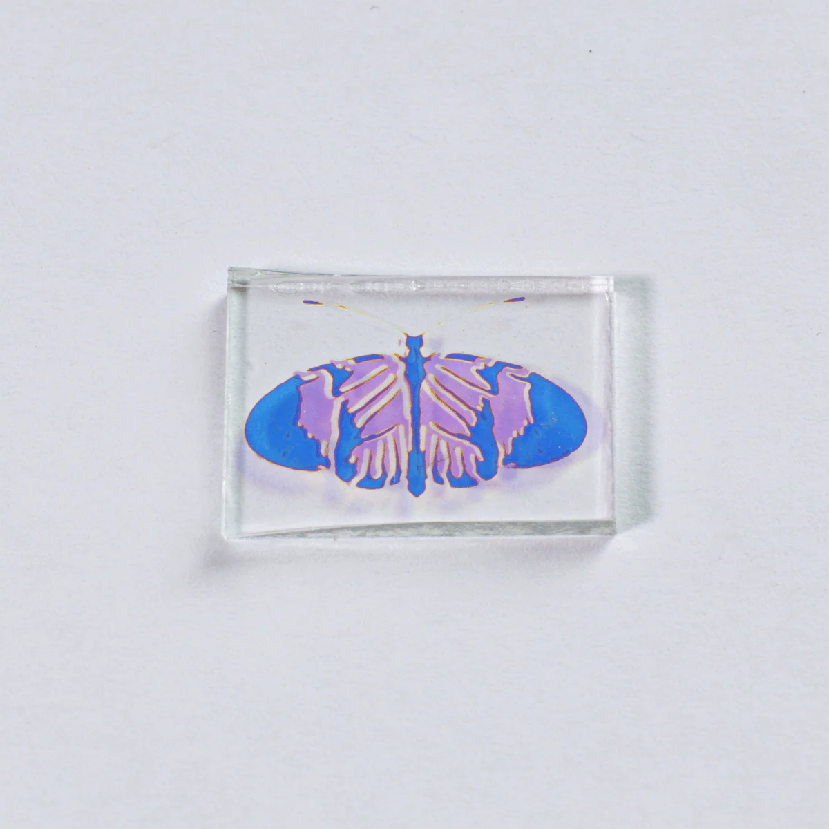 Technicolor Butterfly Medium Size on Clear COE 96
