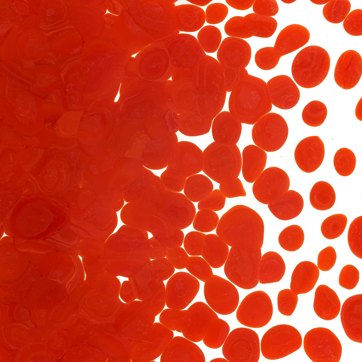 Tomato Red Opalescent, Coarse, 1 lb. - Image 2