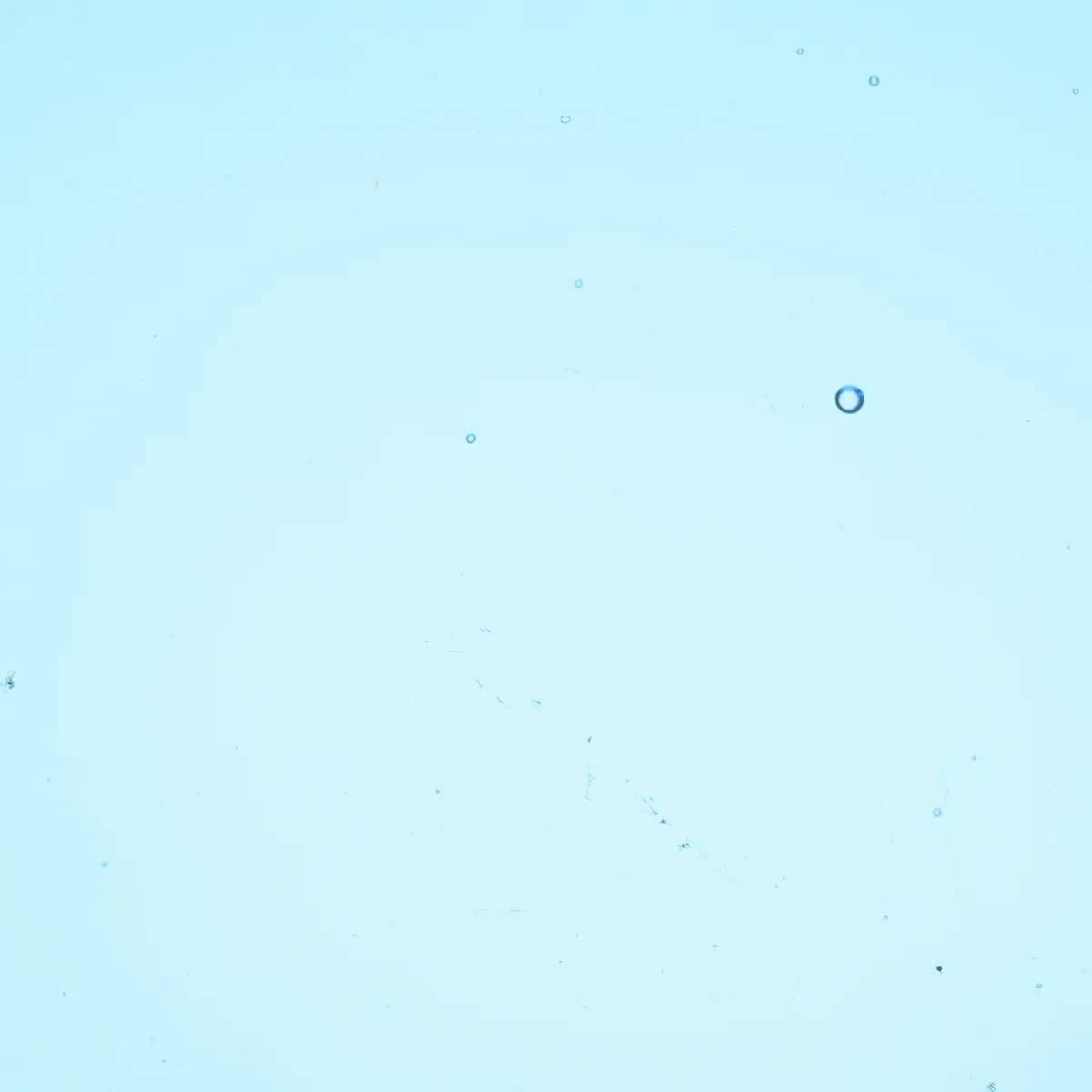 Transparent Deep Sky Blue