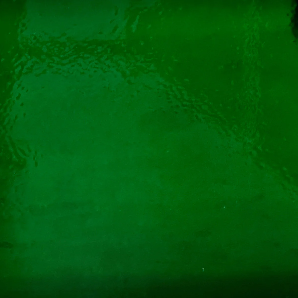 Transition Dark Green Rough Rolled