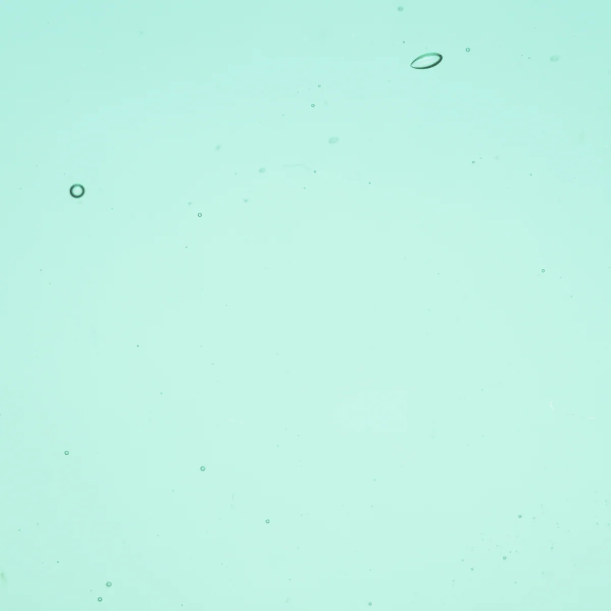 Transparent Emerald Coast