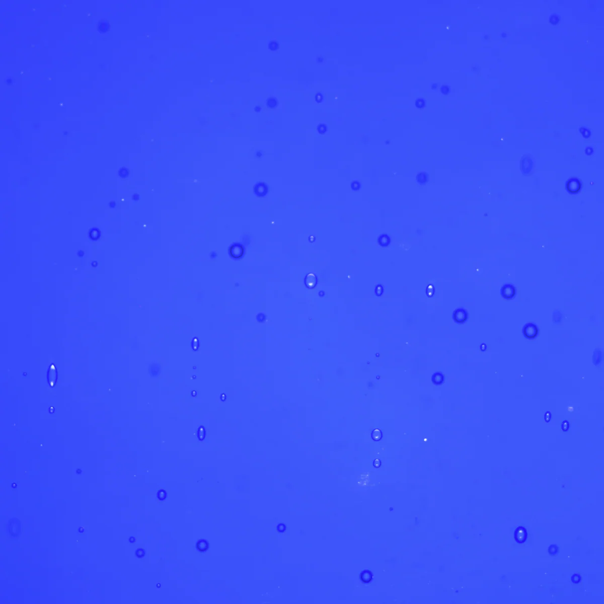 Transparent Midnight Blue