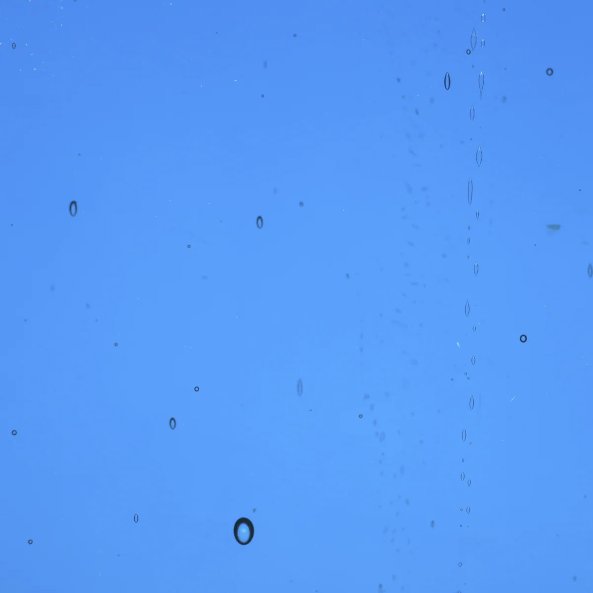 Transparent Sea Blue
