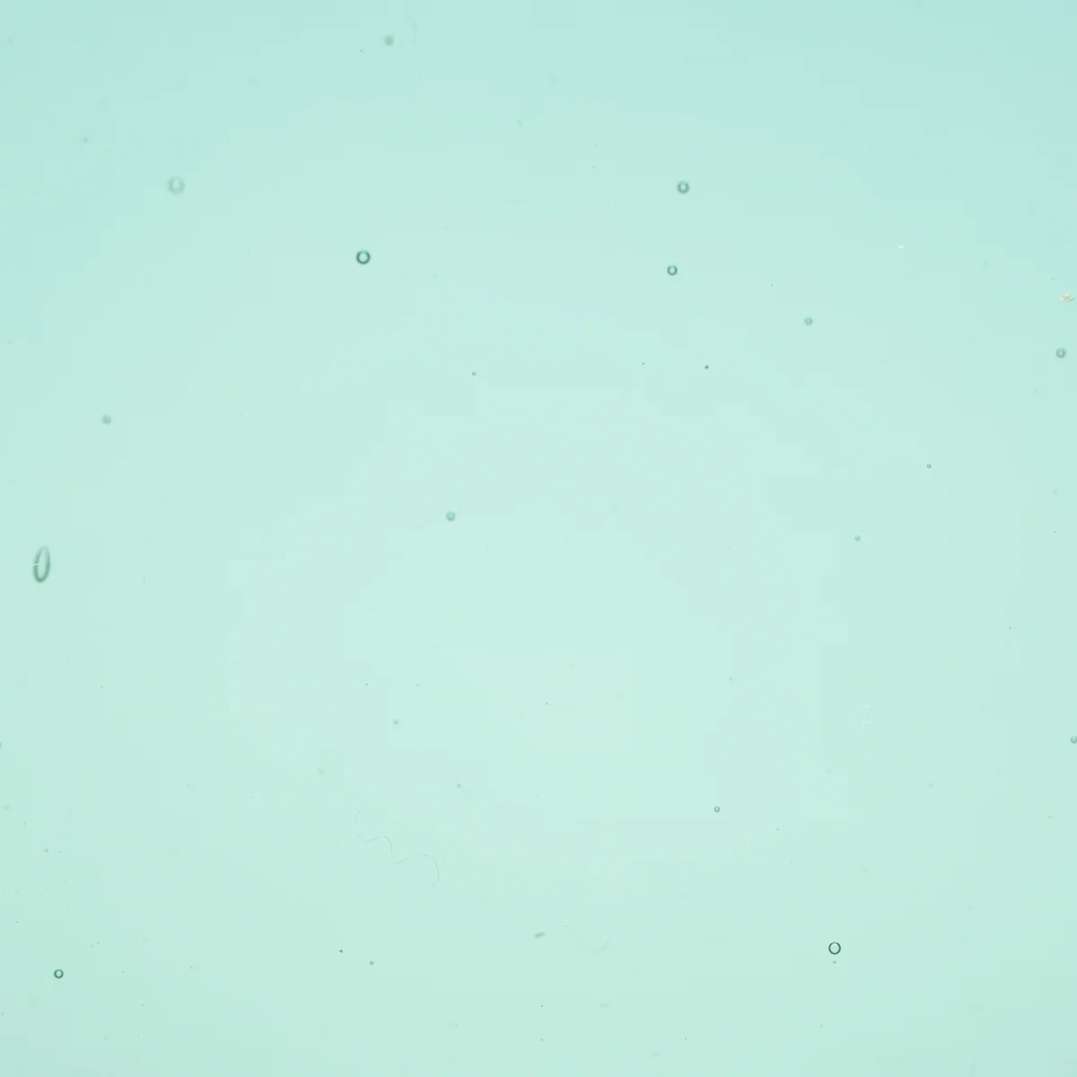 Transparent Turquoise Green