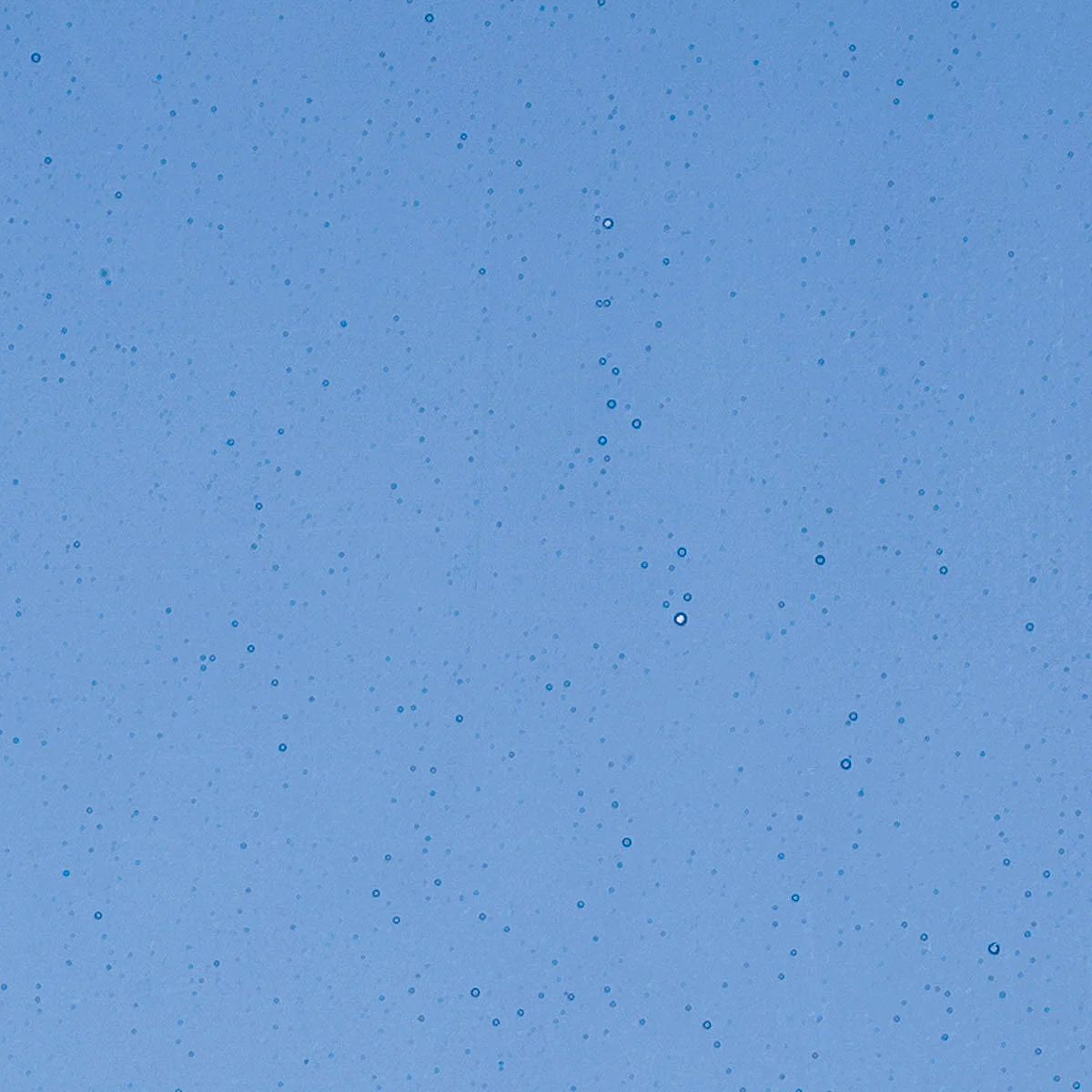 True Blue, 2 mm - Image 2
