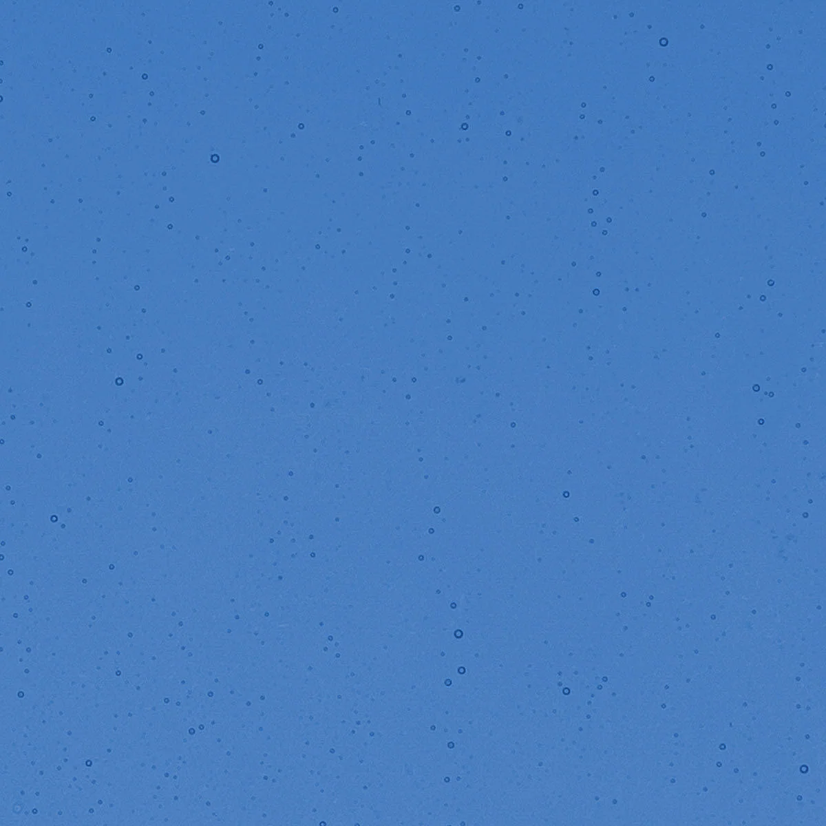 True Blue, 3 mm - Image 2
