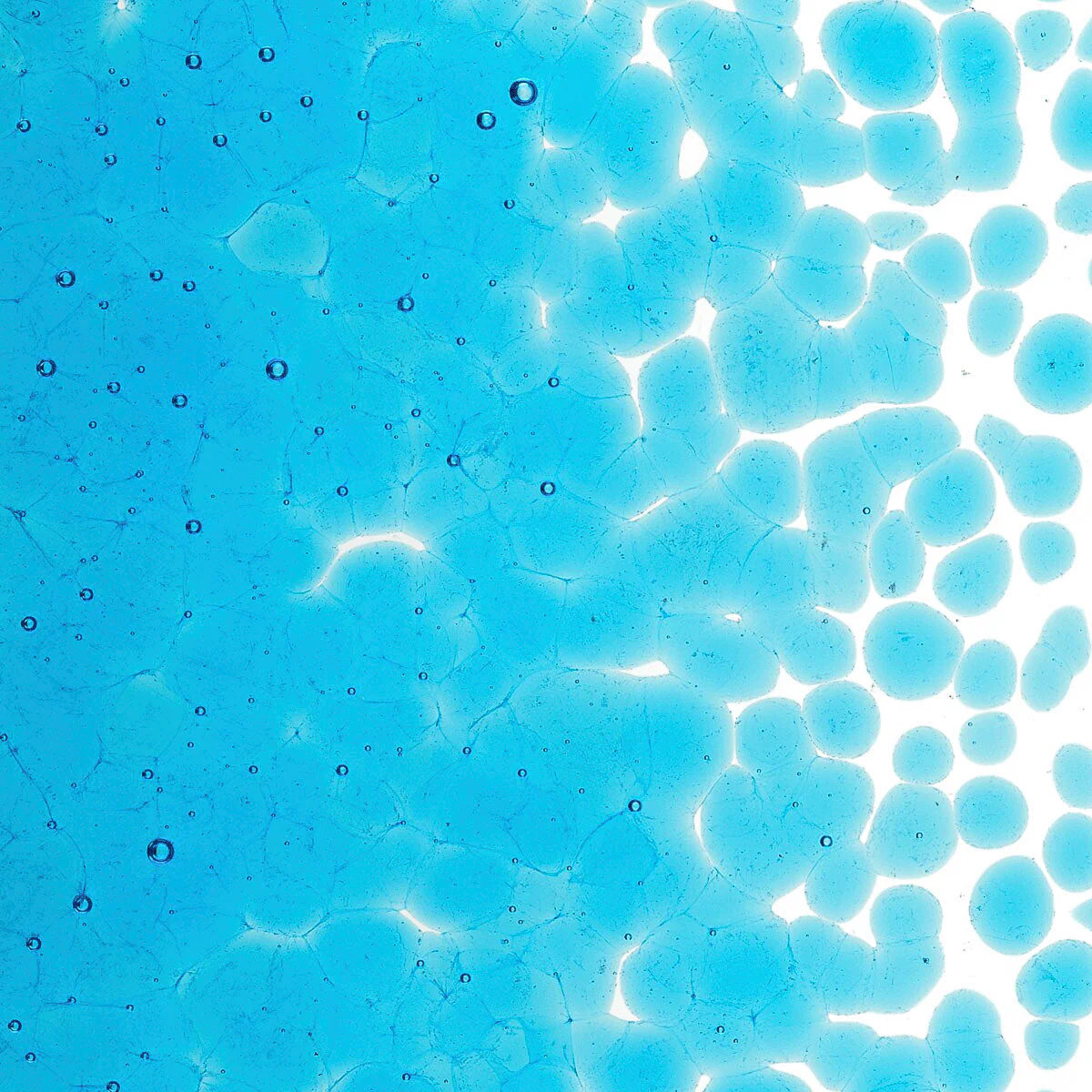 Turquoise Blue Transparent, Coarse, 5 oz. - Image 2