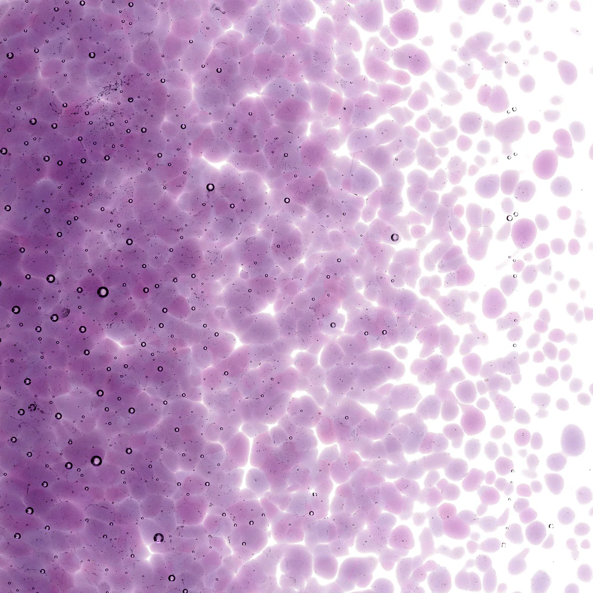Violet Transparent, Medium, 1 lb. - Image 2