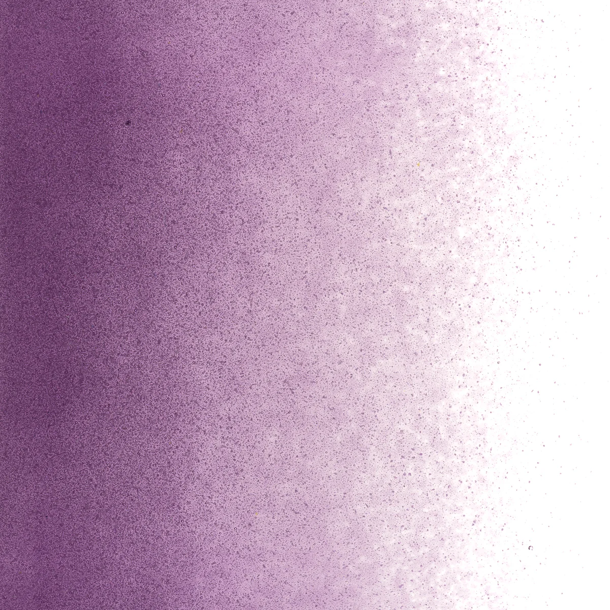 Violet Transparent, Powder, 1 lb. - Image 2