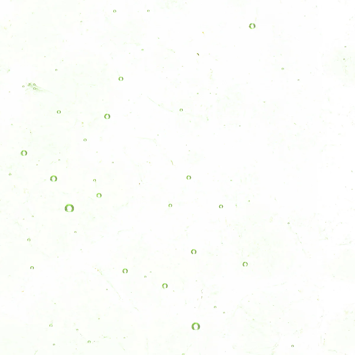 Grass Green Tint, Coarse, 5 lb. - Image 2