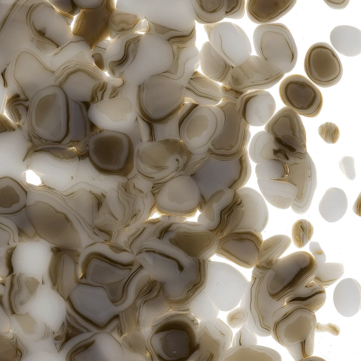 White Opalescent, Dark Brown Transparent, Corse, 1 lb. - Image 2
