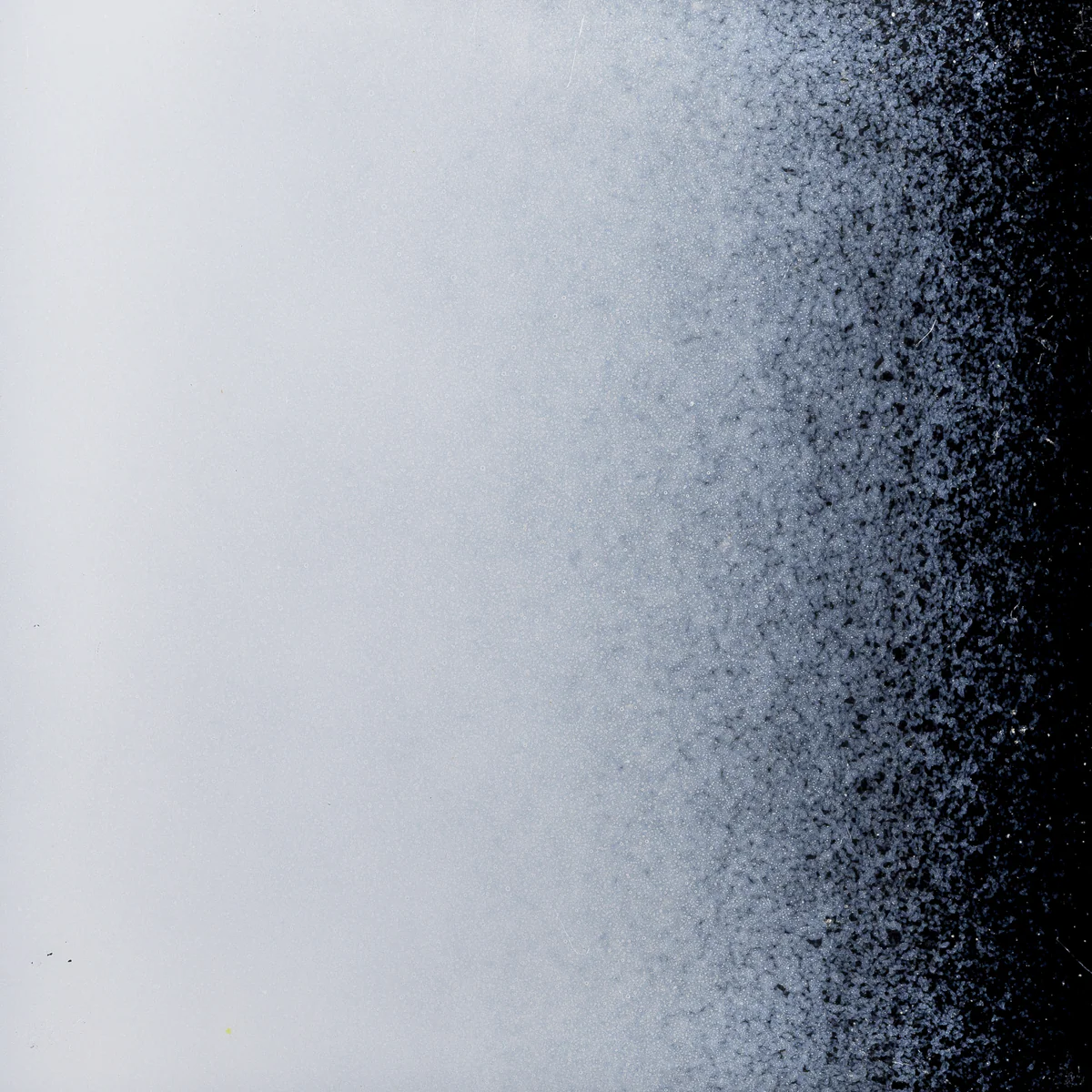 White Opalescent, Powder, 1 lb. - Image 2