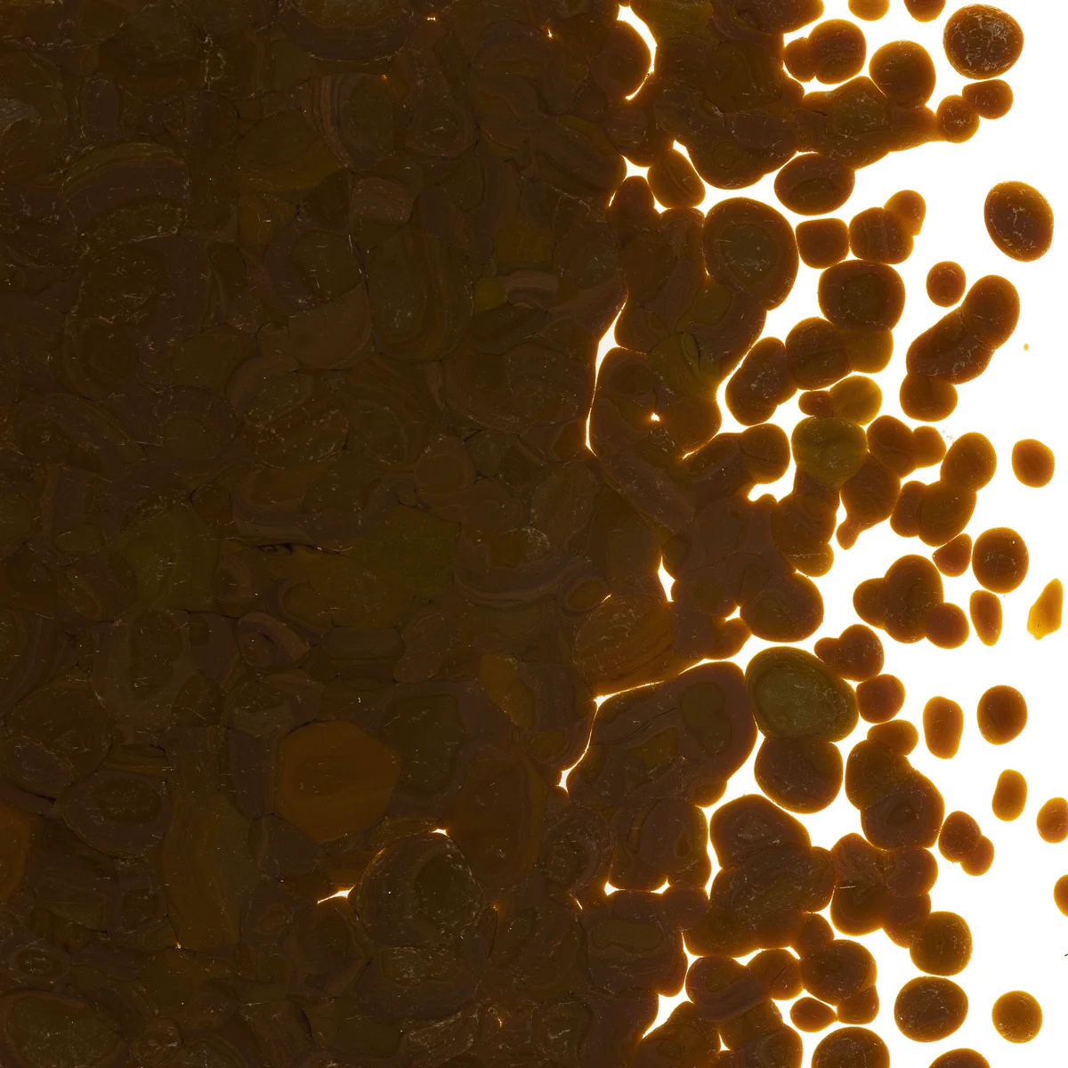 Woodland Brown Opalescent, Coarse, 1 lb. - Image 2