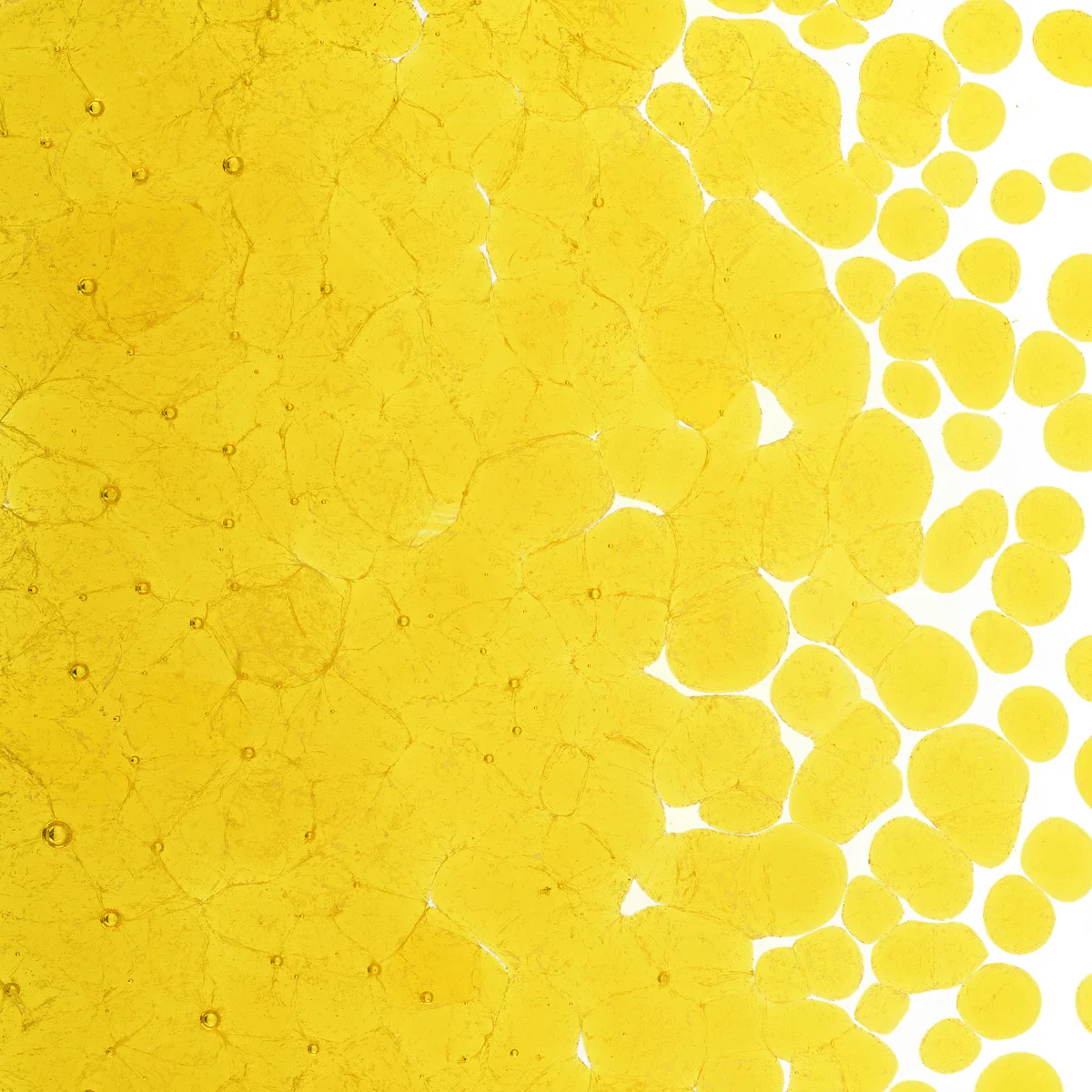 Yellow Transparent, Coarse, 1 lb. - Image 2
